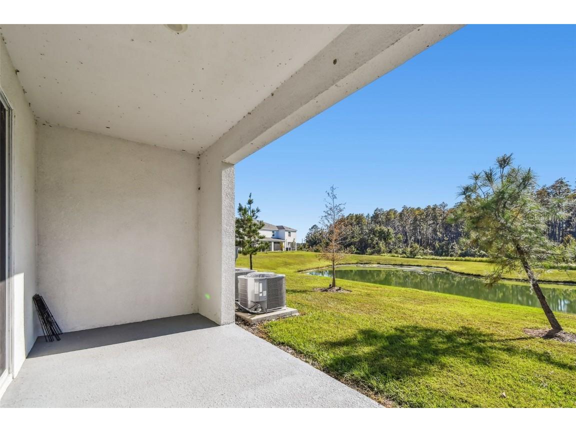 32173 Turtle Grace Loop Wesley Chapel FL 33545 TB8448297 image36