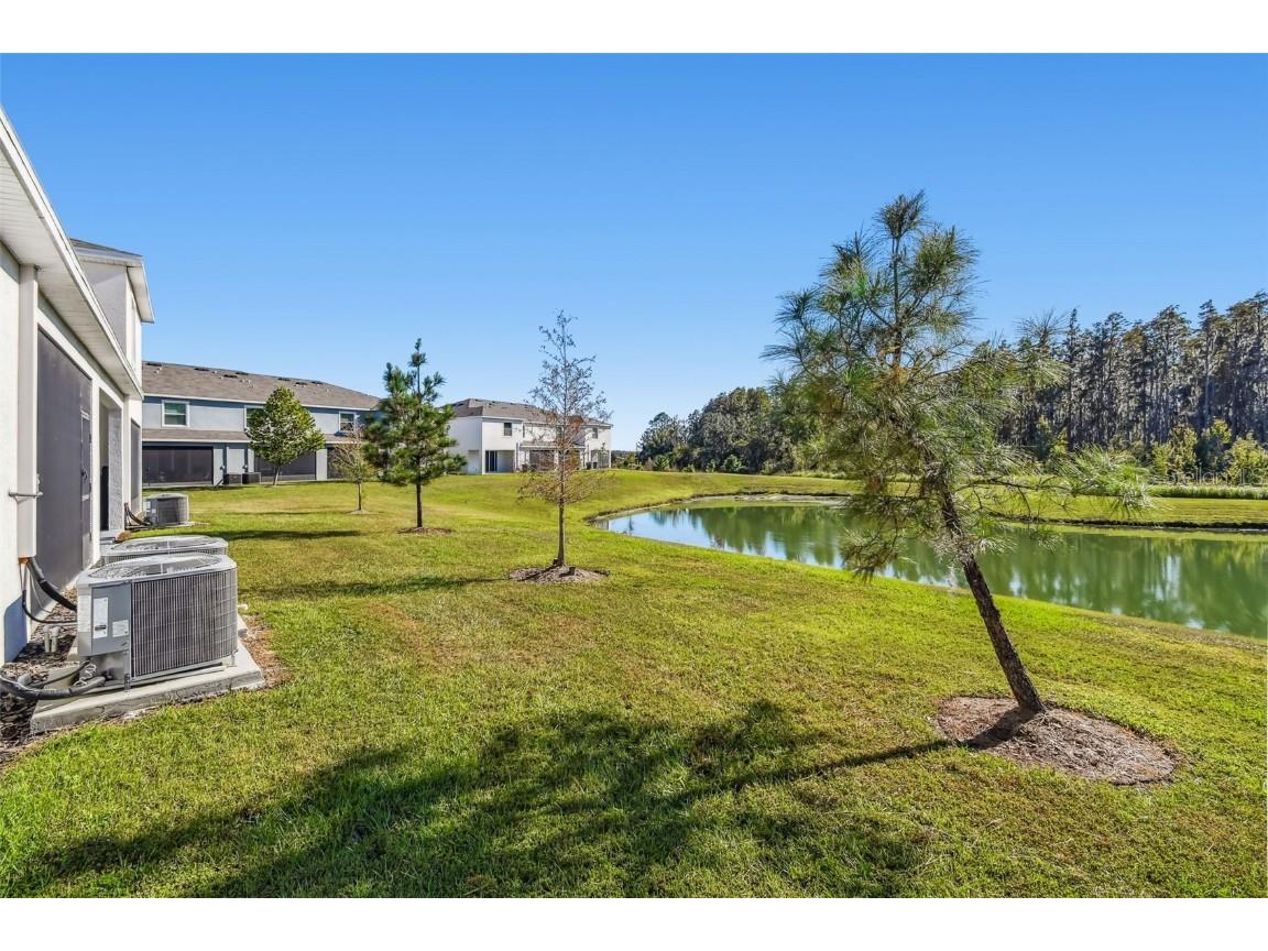 32173 Turtle Grace Loop Wesley Chapel FL 33545 TB8448297 image38