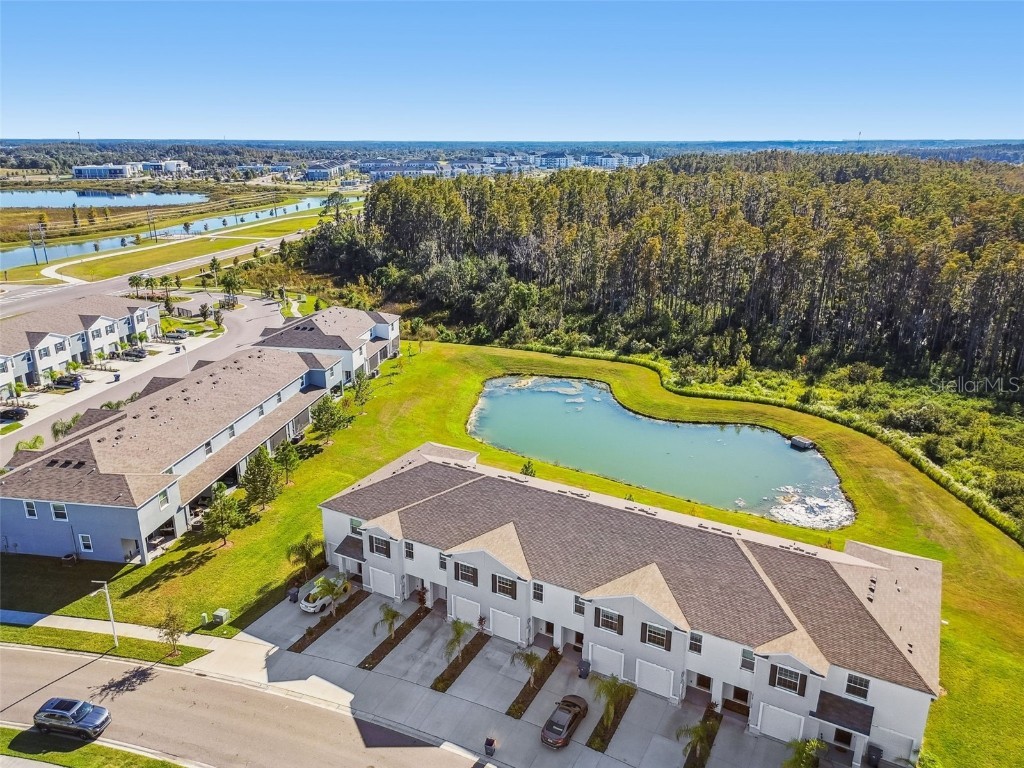 32173 Turtle Grace Loop Wesley Chapel FL 33545 TB8448297 image39