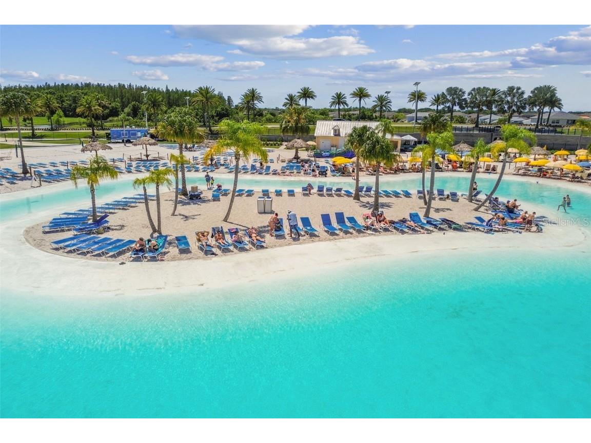 32173 Turtle Grace Loop Wesley Chapel FL 33545 TB8448297 image40