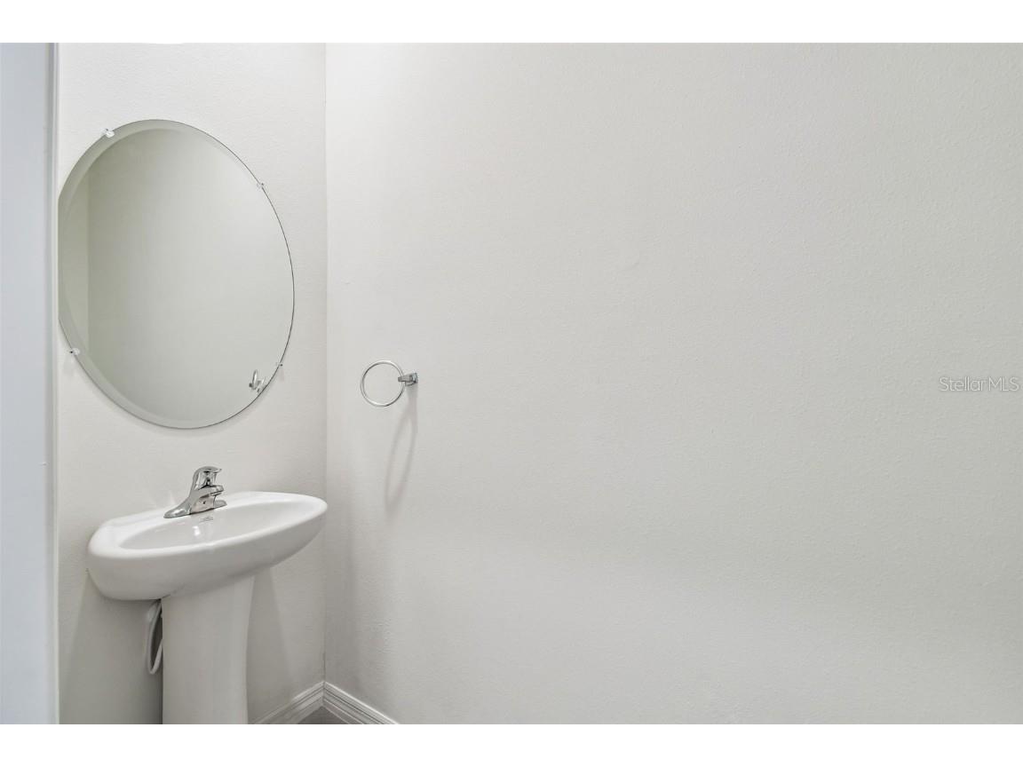 32173 Turtle Grace Loop Wesley Chapel FL 33545 TB8448297 image7