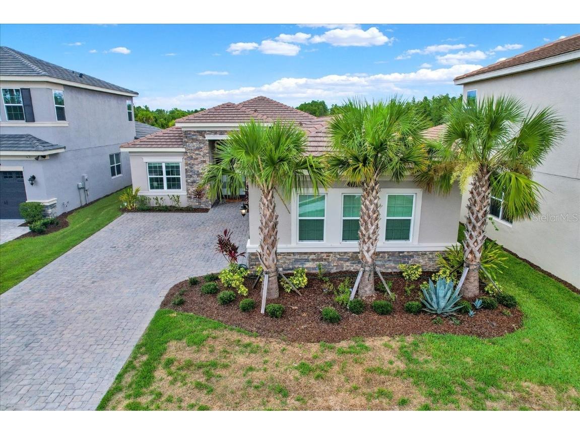 32179 Logan Elm Terrace Wesley Chapel FL 33543 TB8461954 image4