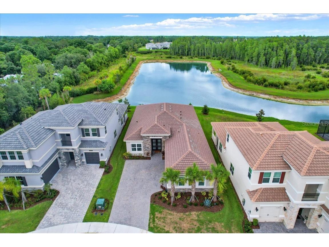 32179 Logan Elm Terrace Wesley Chapel FL 33543 TB8461954 image48