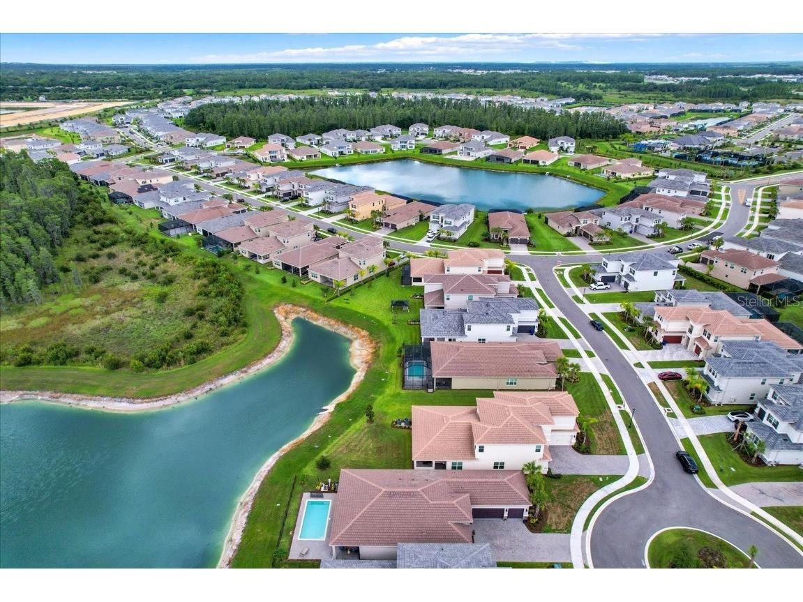 32179 Logan Elm Terrace Wesley Chapel FL 33543 TB8461954 image52