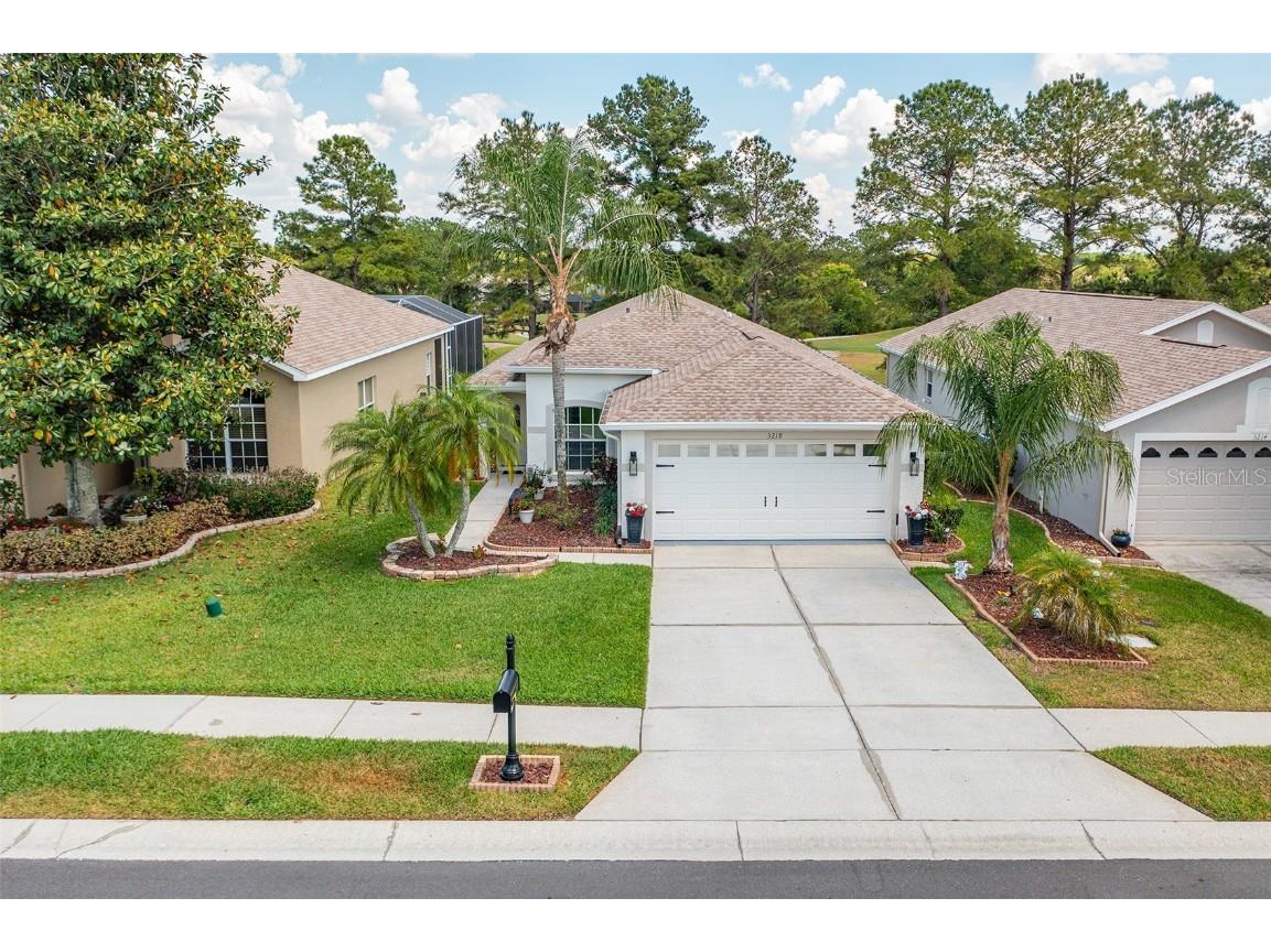 3218 Banyan Hill Lane Land O Lakes FL 34639 U8196130 image1