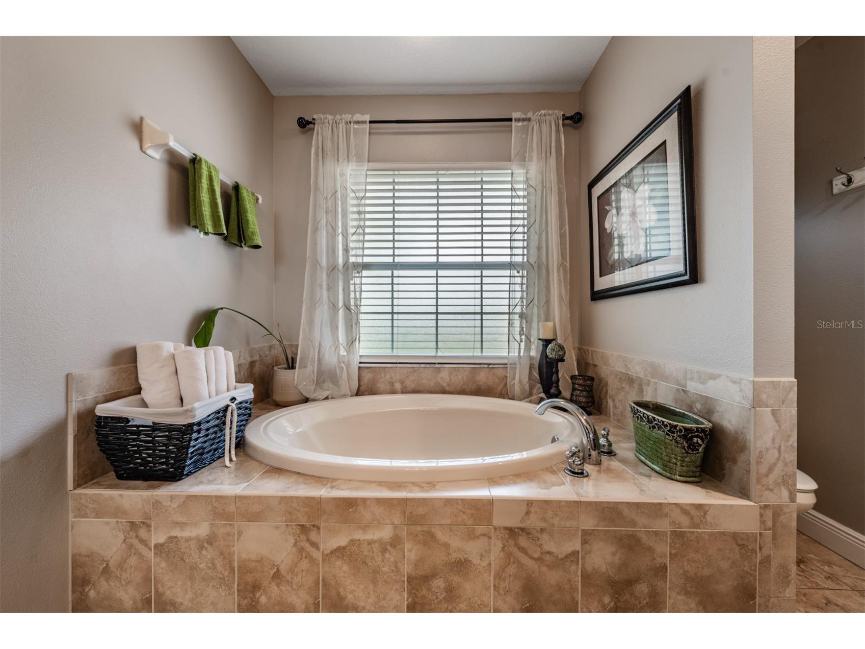 3218 Bella Garden Lane Plant City FL 33566 TB8492805 image21
