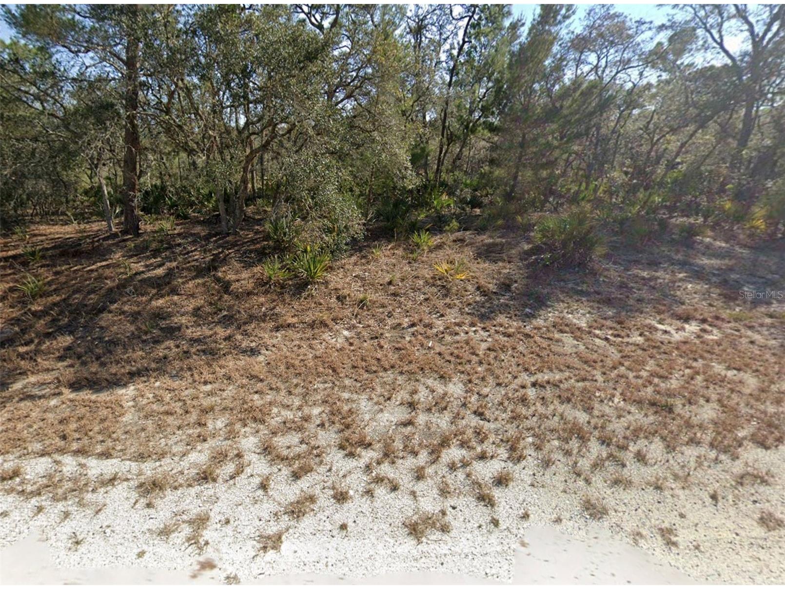 3218 Gossamer Avenue Lake Placid FL 33852 O6388515 image1