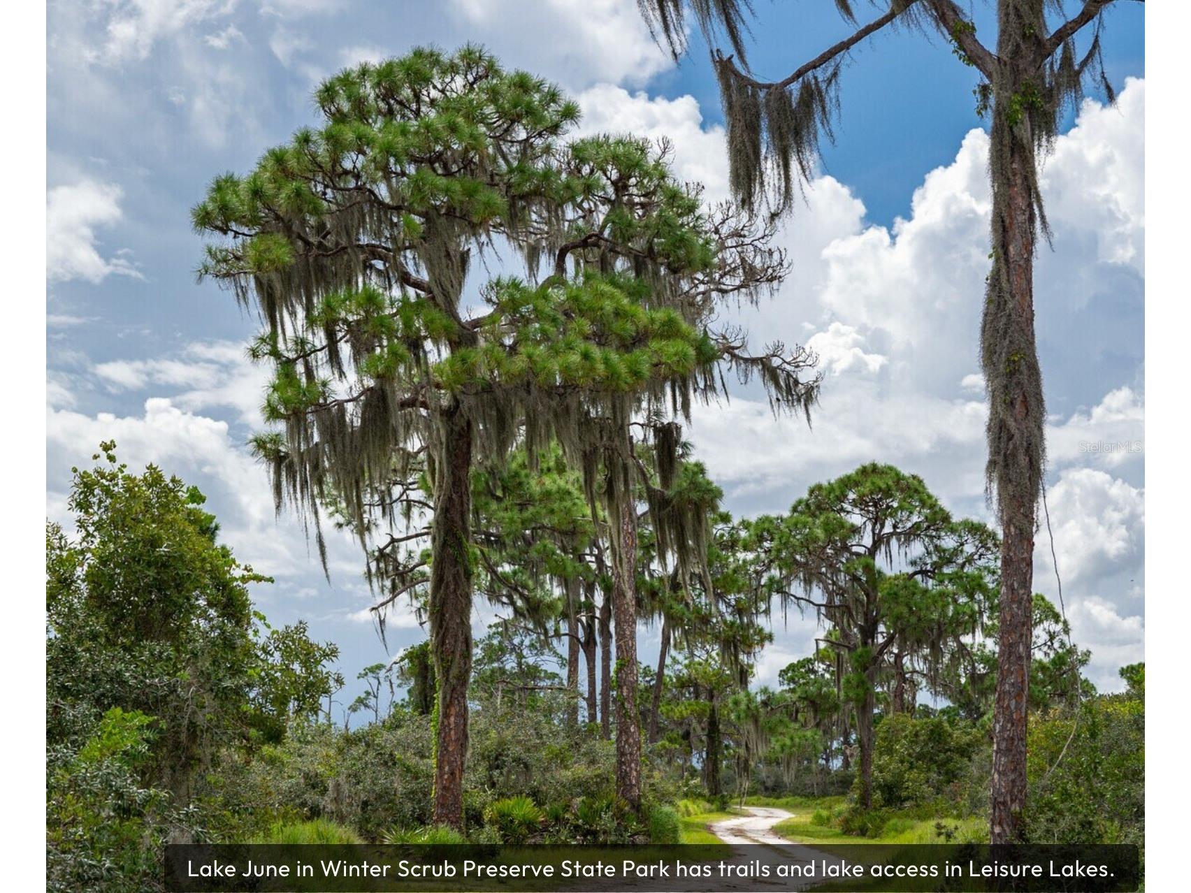 3218 Gossamer Avenue Lake Placid FL 33852 O6388515 image11