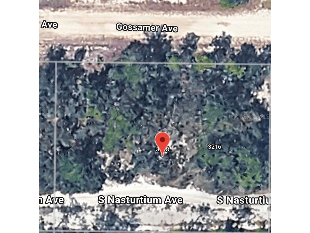3218 Gossamer Avenue Lake Placid FL 33852 O6388515 image2