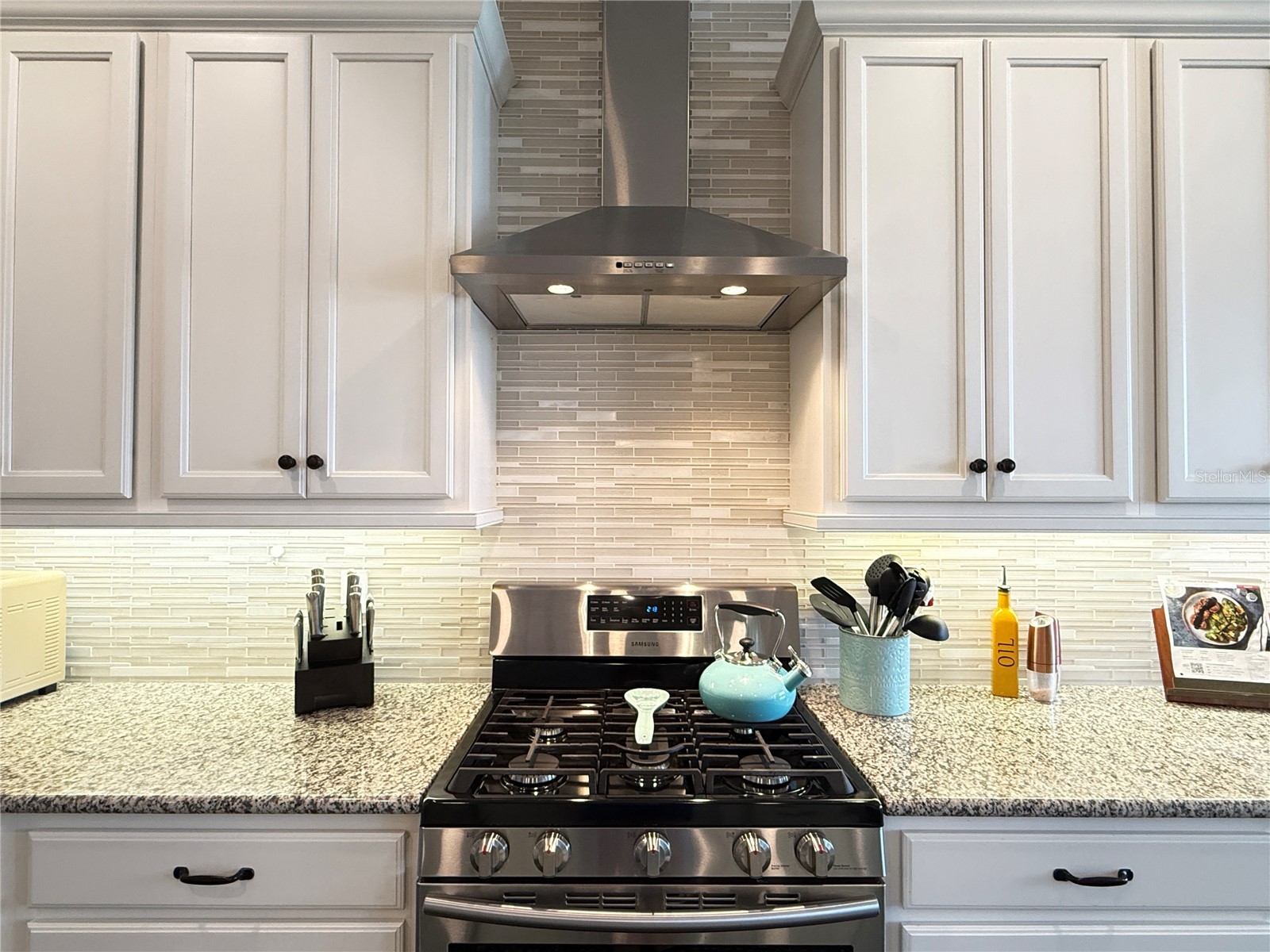 3218 Medici Boulevard New Smyrna Beach FL 32168 NS1086722 image22