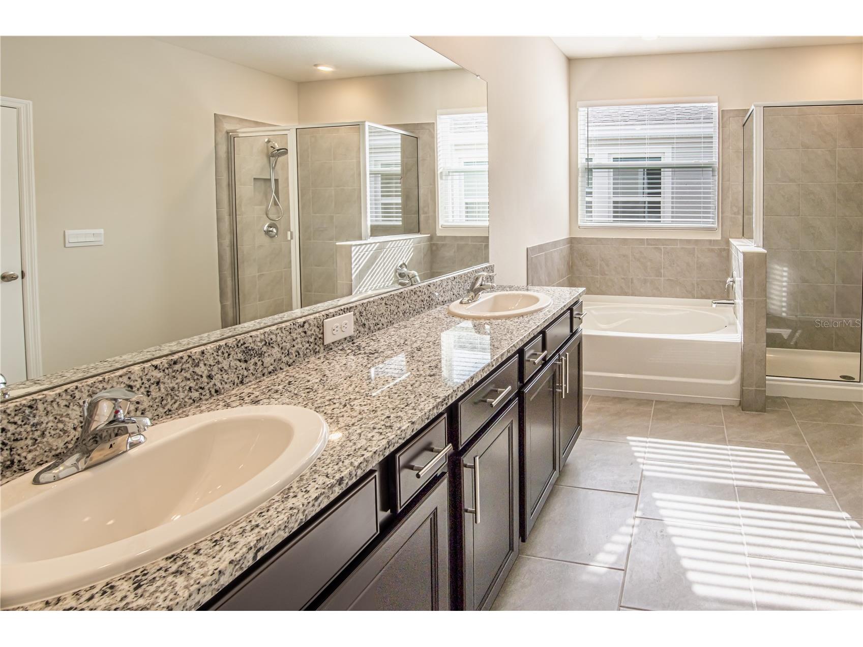 32183 Conchshell Sail Street Wesley Chapel FL 33545 O6380601 image10