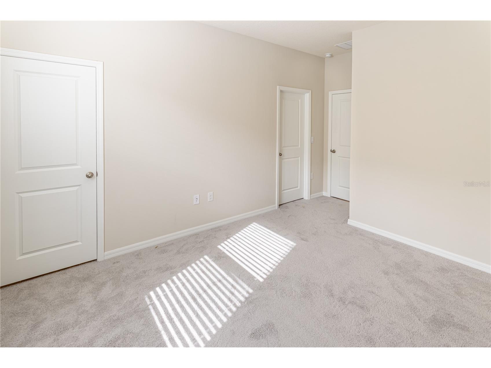 32183 Conchshell Sail Street Wesley Chapel FL 33545 O6380601 image12