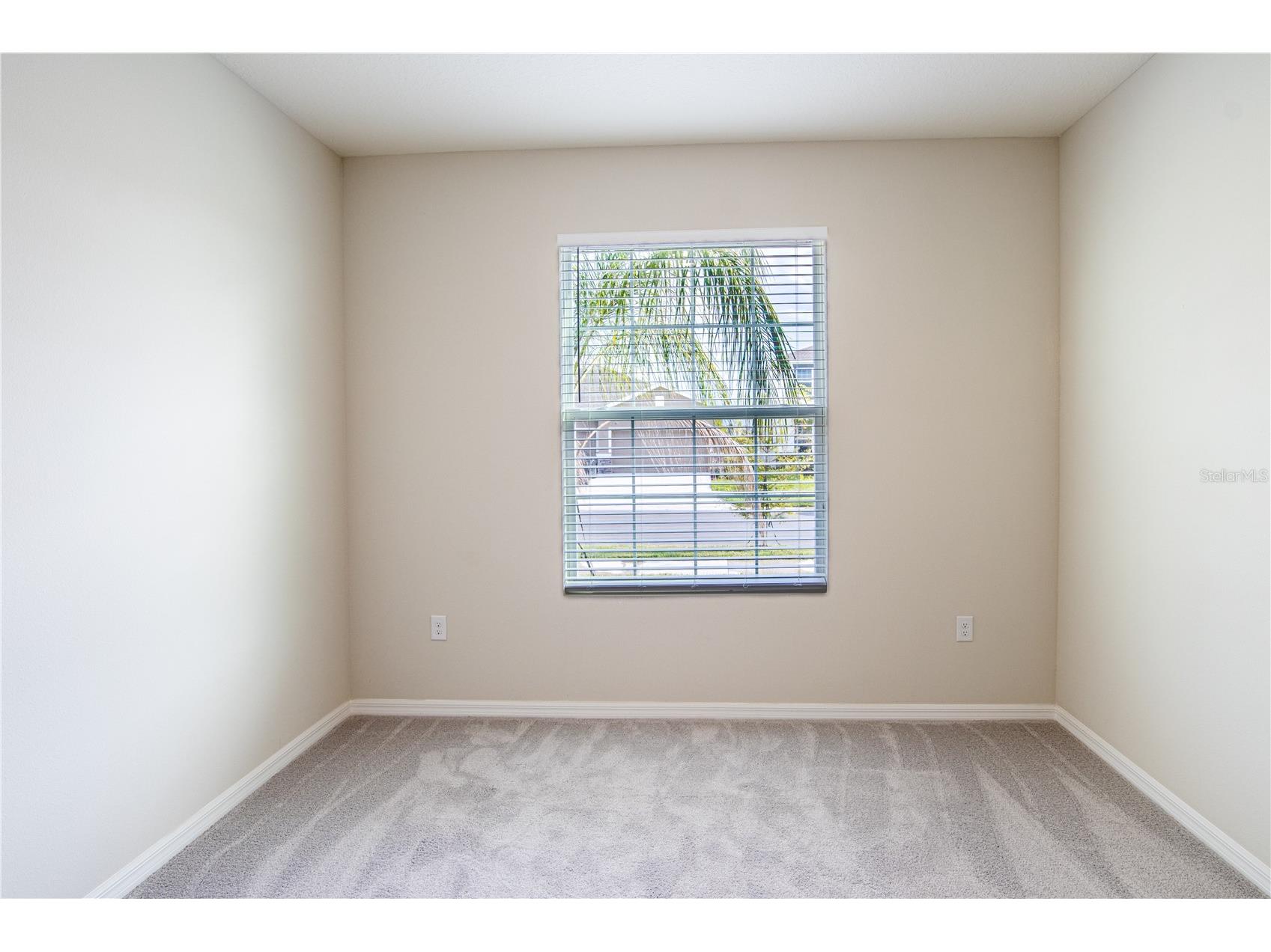 32183 Conchshell Sail Street Wesley Chapel FL 33545 O6380601 image28