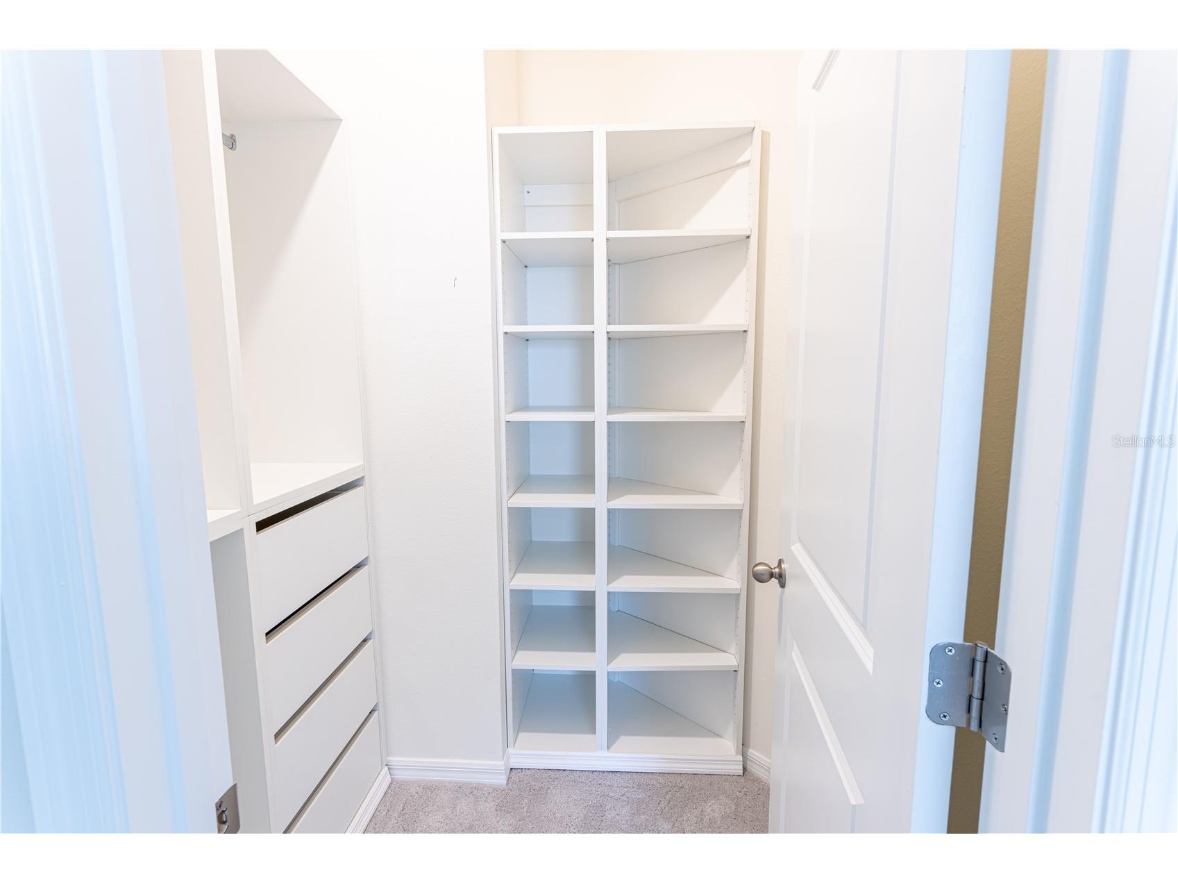 32183 Conchshell Sail Street Wesley Chapel FL 33545 O6380601 image5