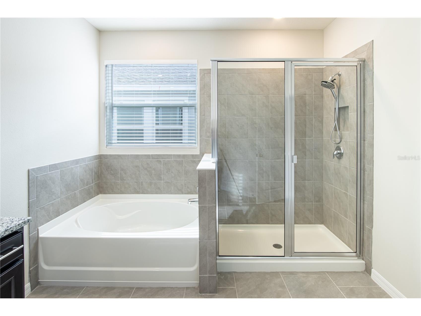 32183 Conchshell Sail Street Wesley Chapel FL 33545 O6380601 image8