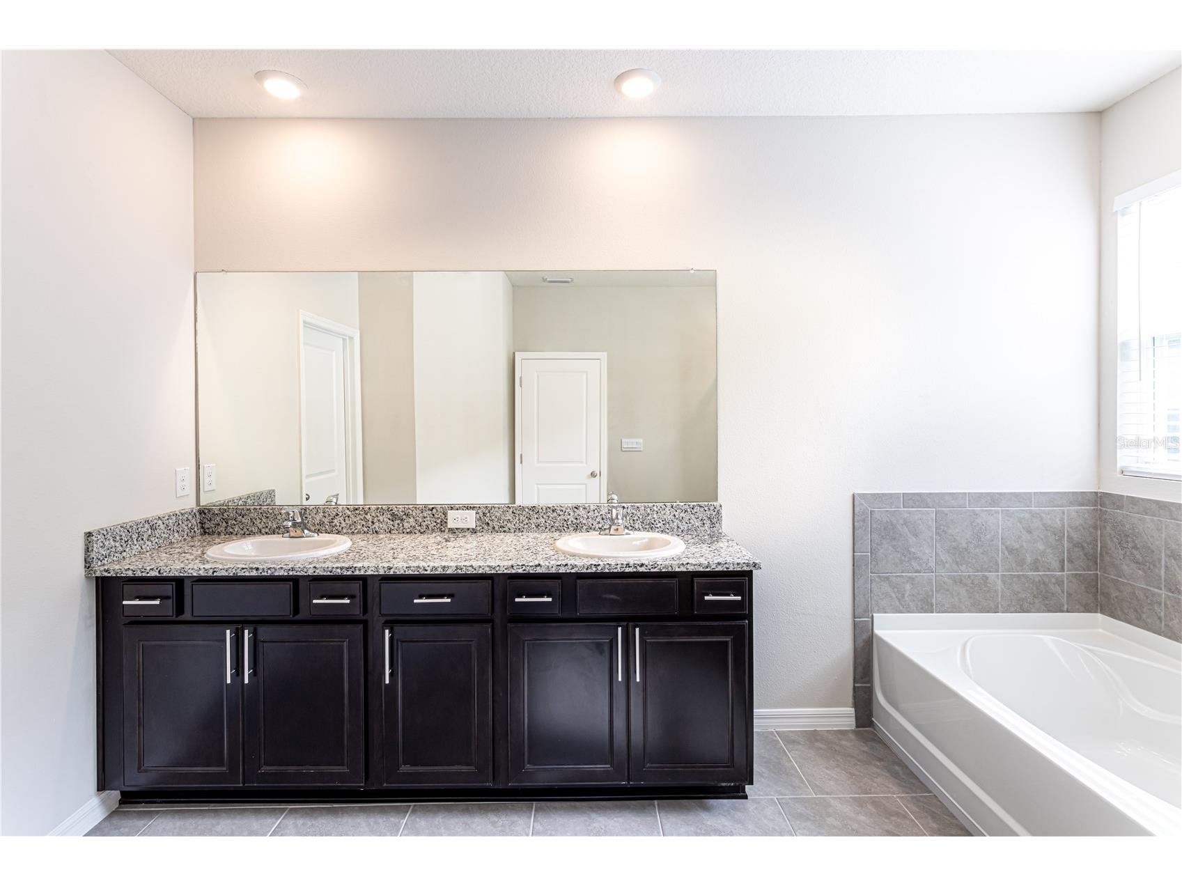 32183 Conchshell Sail Street Wesley Chapel FL 33545 O6380601 image9