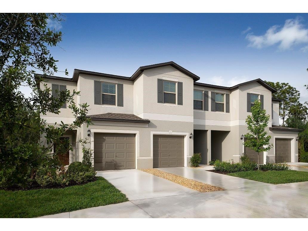 32187 Powderpuff Mimosa Drive San Antonio FL 33576 T3456913 image1