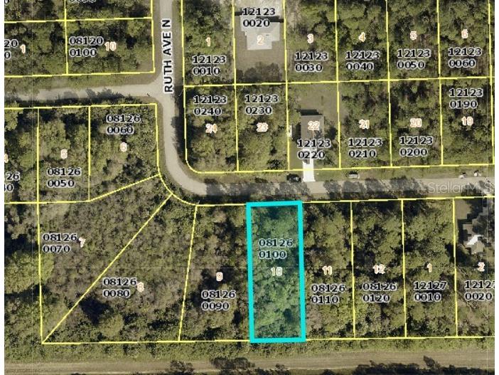 3219 47th Street W Lehigh Acres FL 33971 C7515189 image1