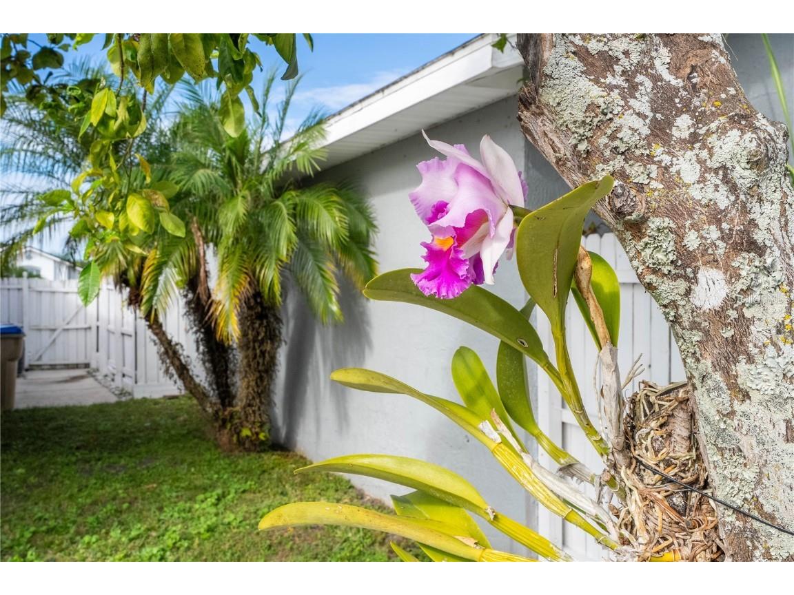 3219 Brewster Drive Kissimmee FL 34743 O6363091 image50