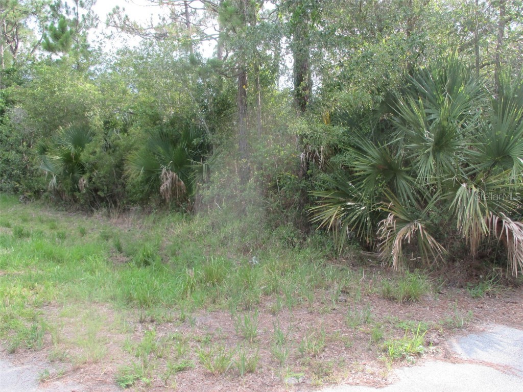 3219 NW 33rd Avenue Okeechobee FL 34972 OK225062 image1