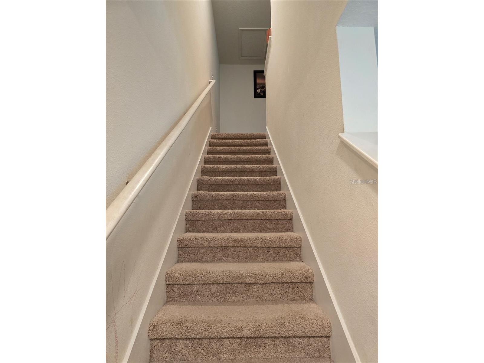 3219 Pleasant Willow Court Brandon FL 33511 TB8511965 image4