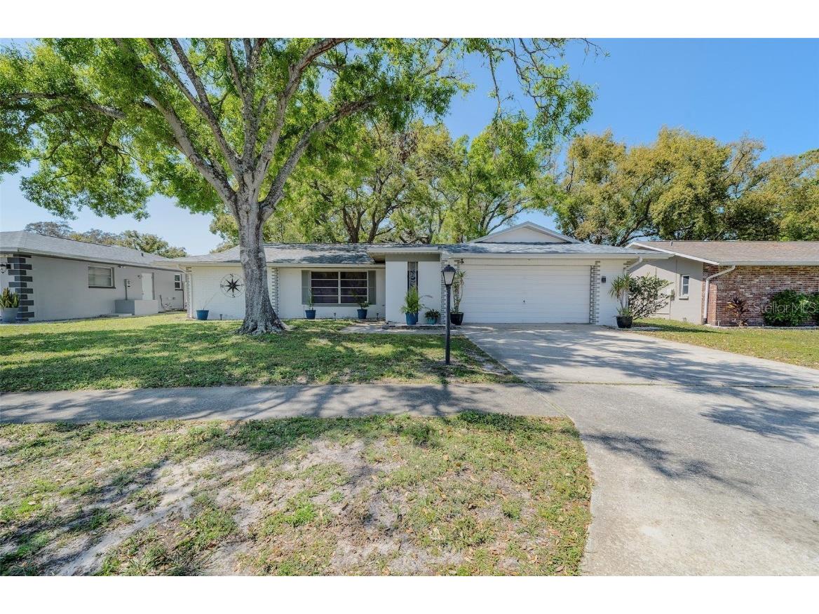 3219 Spanish Moss Lane Palm Harbor FL 34684 TB8362867 image1