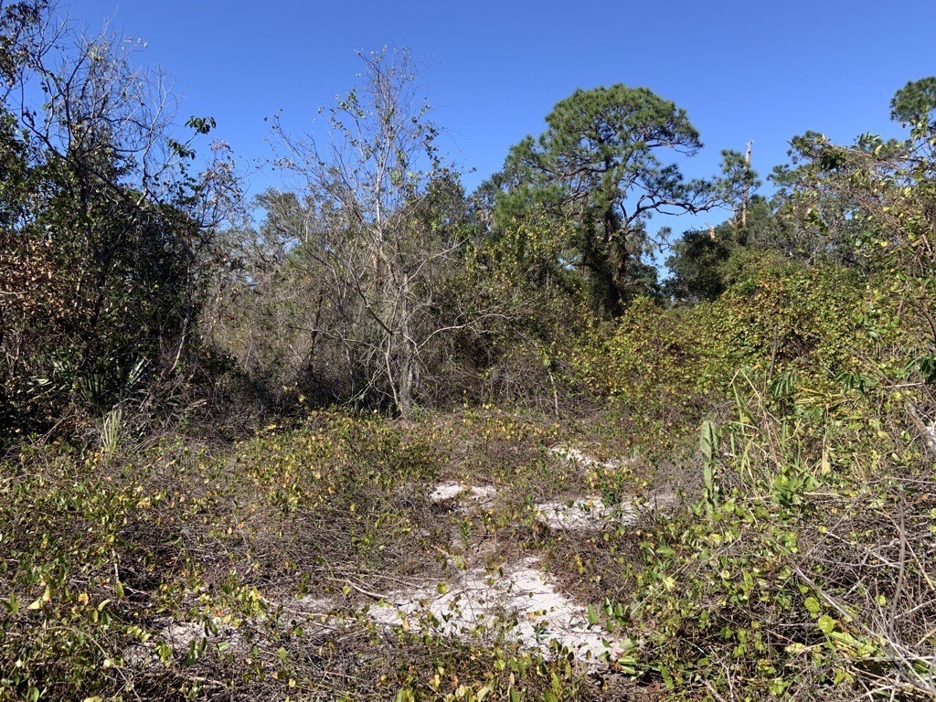 322 Bottlebrush Avenue Lake Placid FL 33852 T3467925 image1