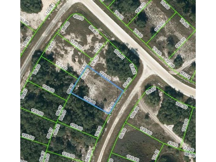 322 Dargen Drive Lake Placid FL 33852 OM621773 image2