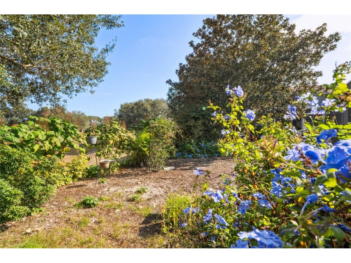 322 Greenwich Circle Spring Hill FL 34609 W7881019 image45