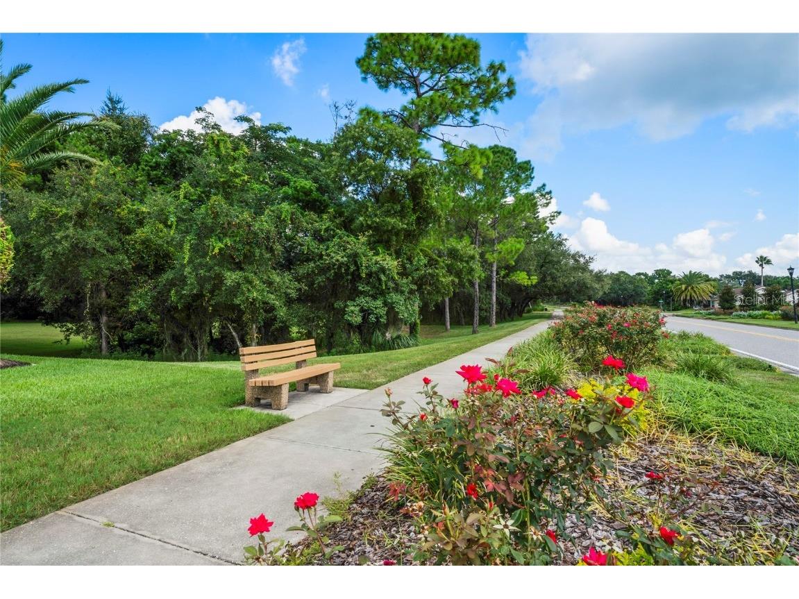 322 Greenwich Circle Spring Hill FL 34609 W7881019 image73