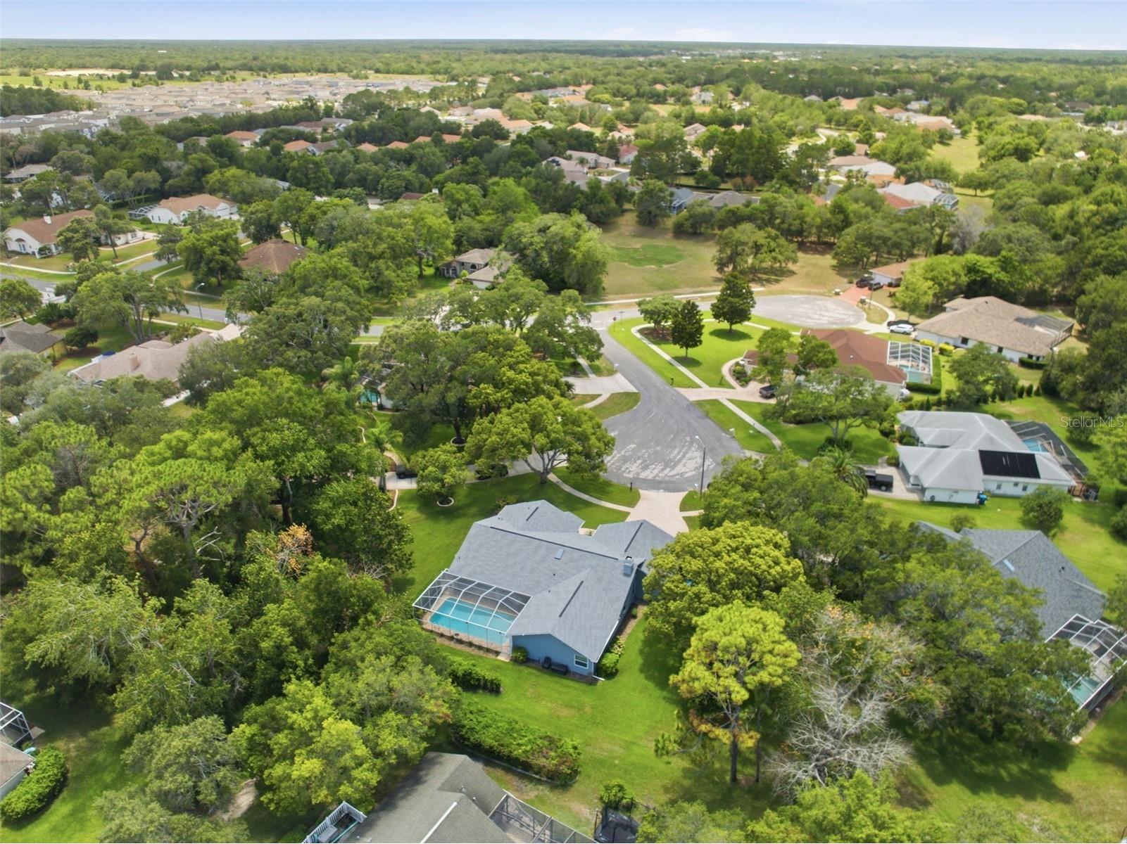 322 Hollow Oak Court Spring Hill FL 34609 W7886830 image43