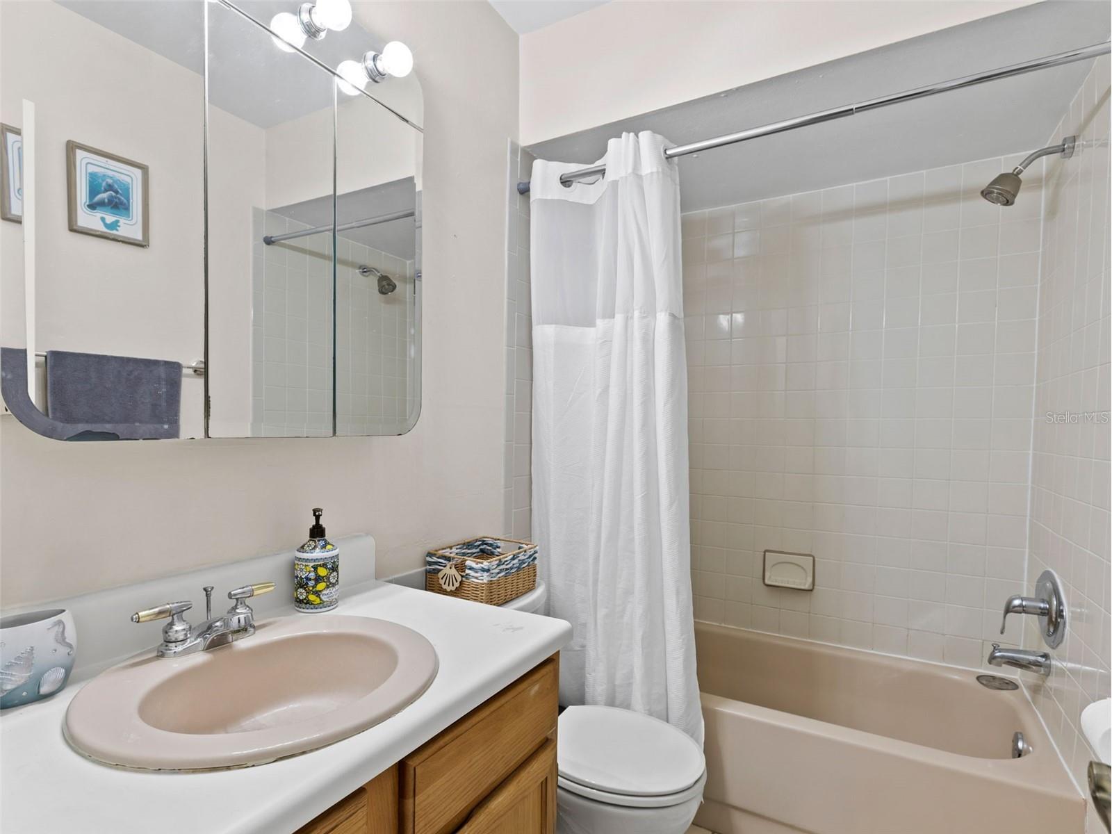322 Hollowtree Drive Seffner FL 33584 TB8491995 image18