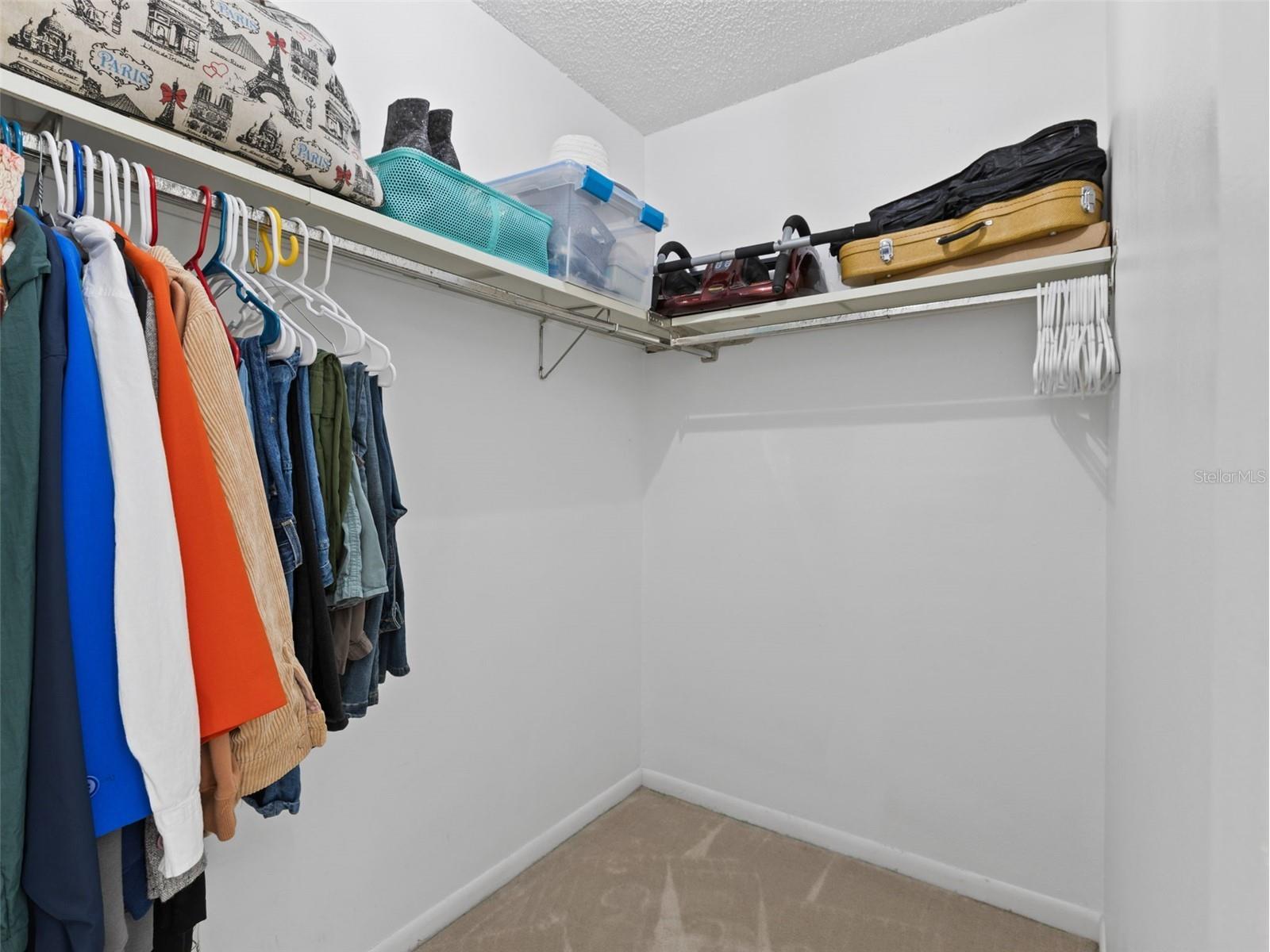 322 Hollowtree Drive Seffner FL 33584 TB8491995 image19