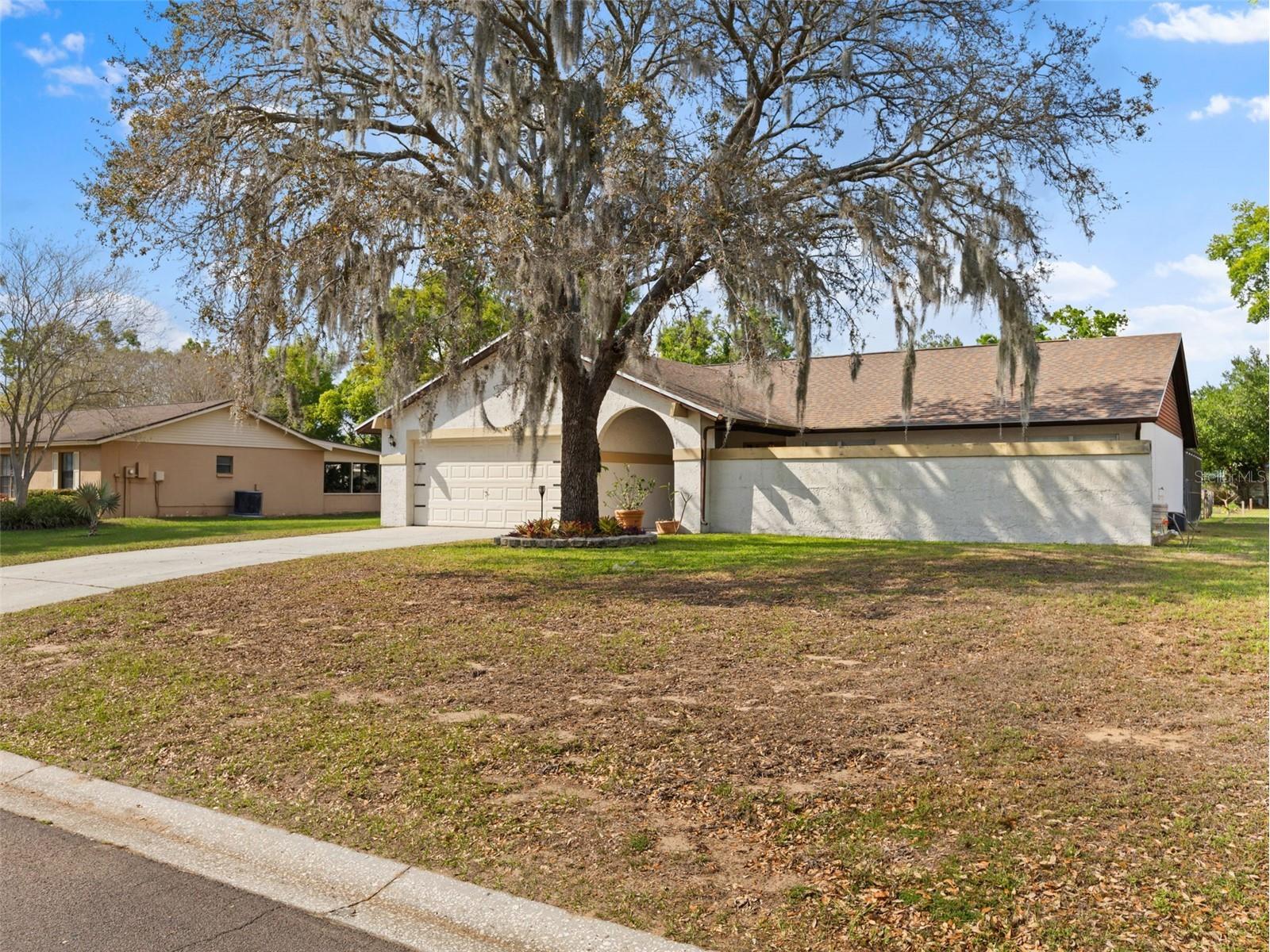 322 Hollowtree Drive Seffner FL 33584 TB8491995 image2