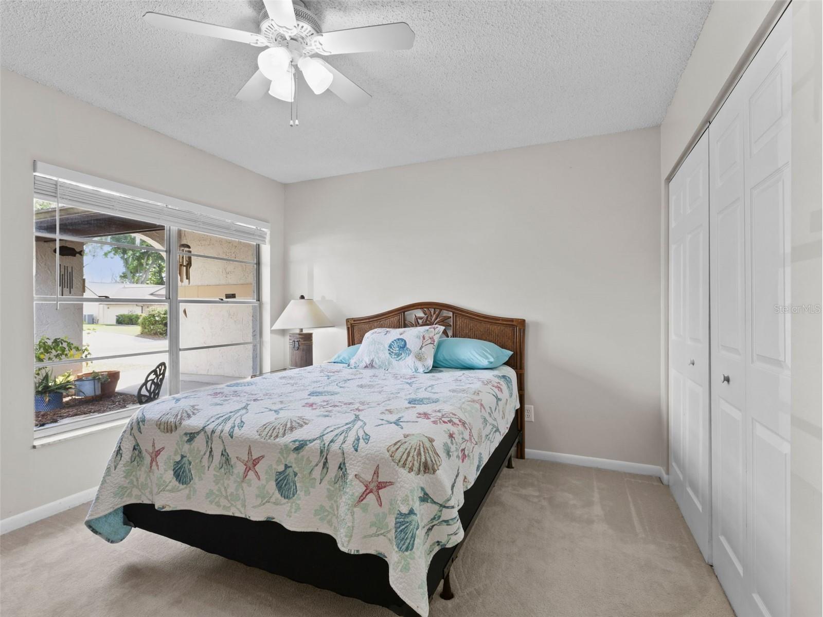322 Hollowtree Drive Seffner FL 33584 TB8491995 image20