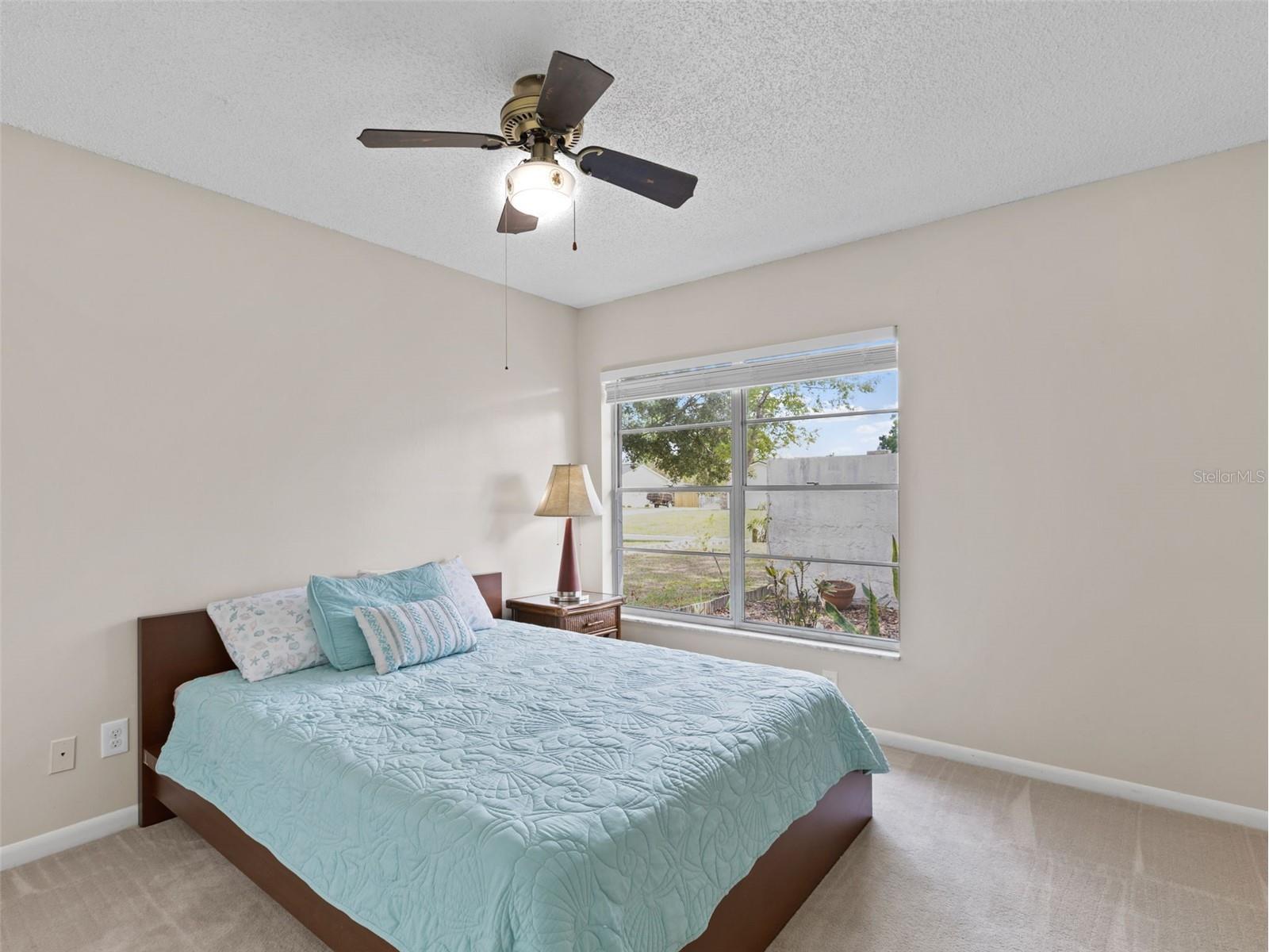 322 Hollowtree Drive Seffner FL 33584 TB8491995 image23