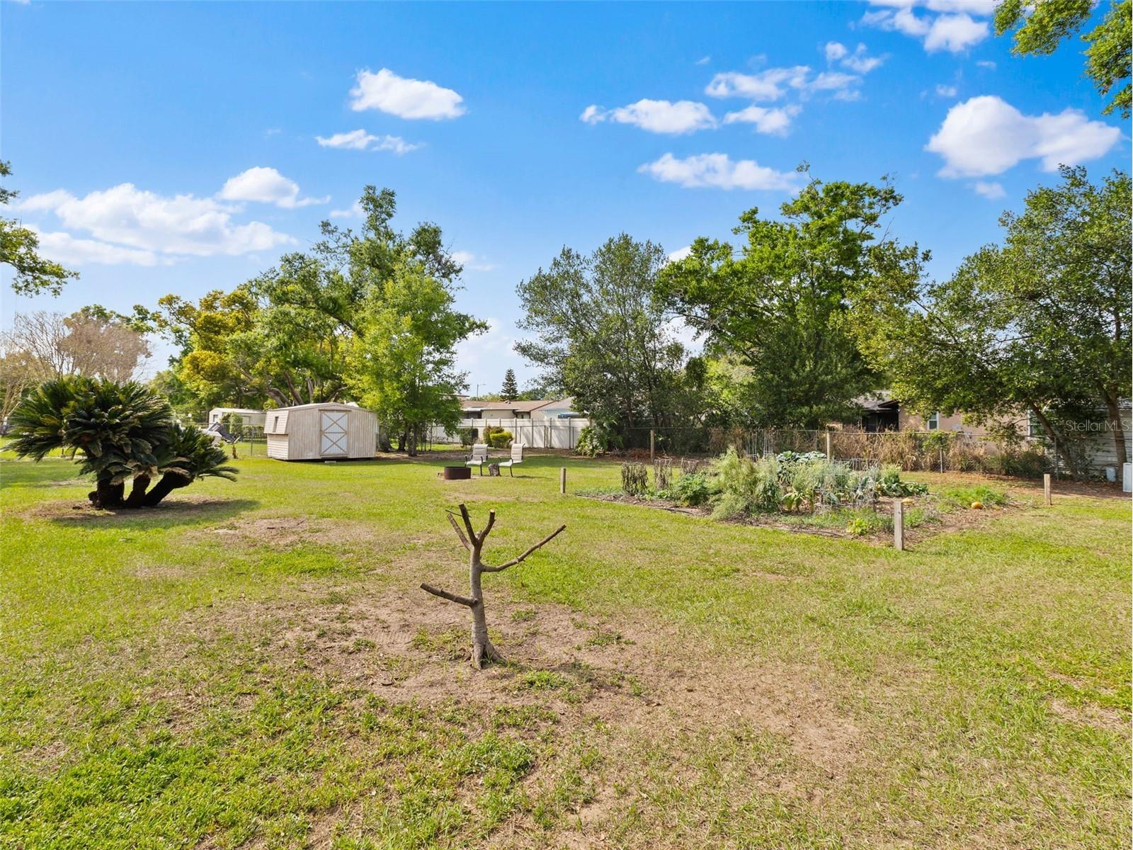 322 Hollowtree Drive Seffner FL 33584 TB8491995 image39