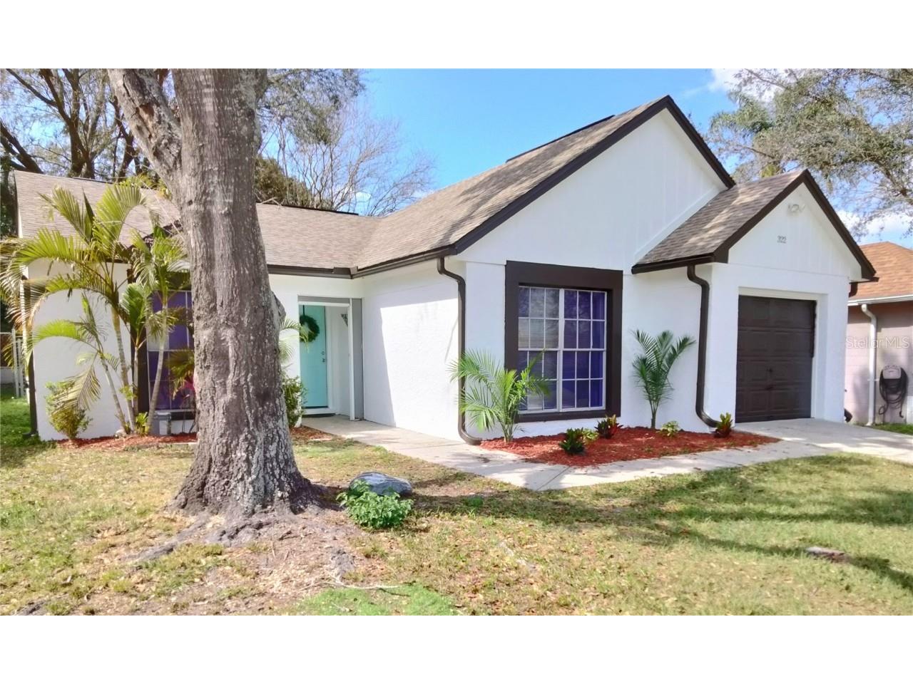 322 Laxton Lane Valrico FL 33594 T3430776 image1