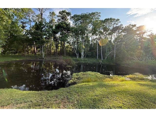 322 N Shadowbay Boulevard Longwood FL 32779 O6280309 image36