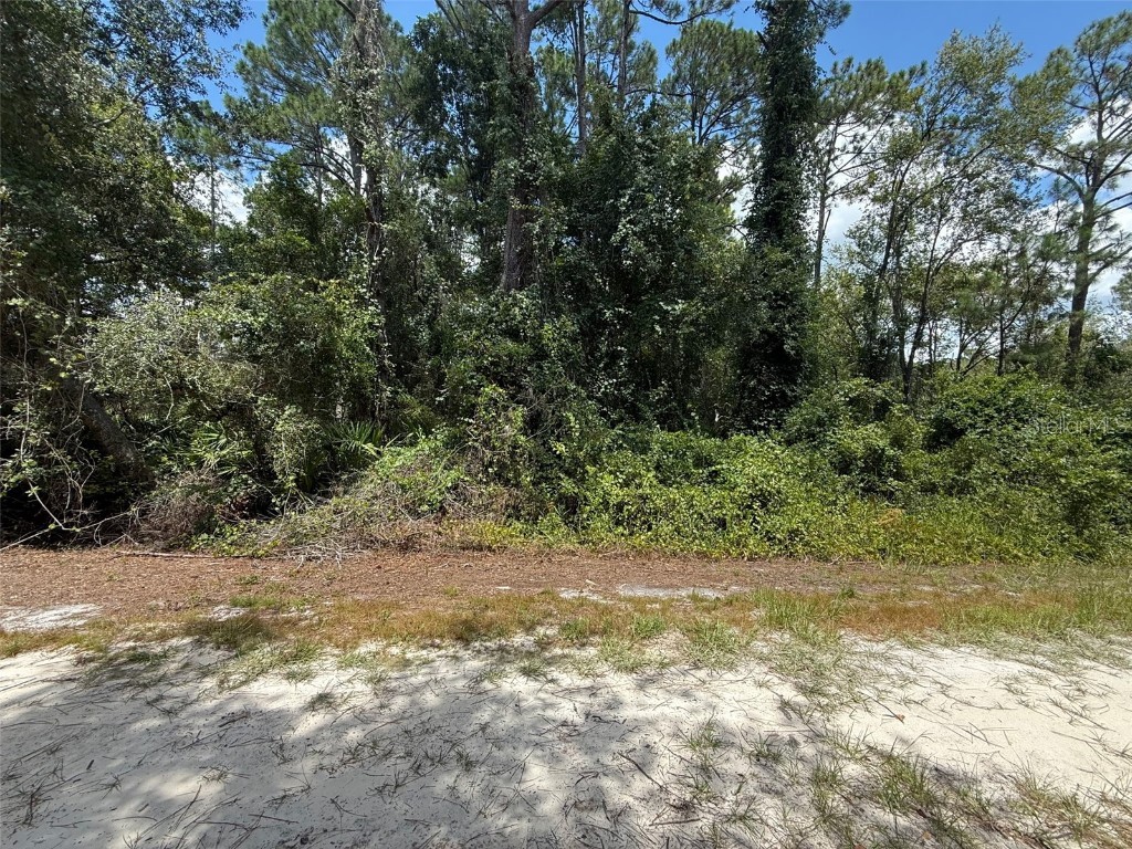 322 Palm Way Georgetown FL 32139 W7878210 image1