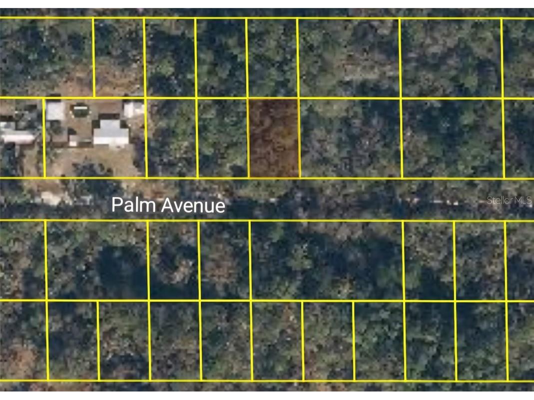 322 Palm Way Georgetown FL 32139 W7878210 image2