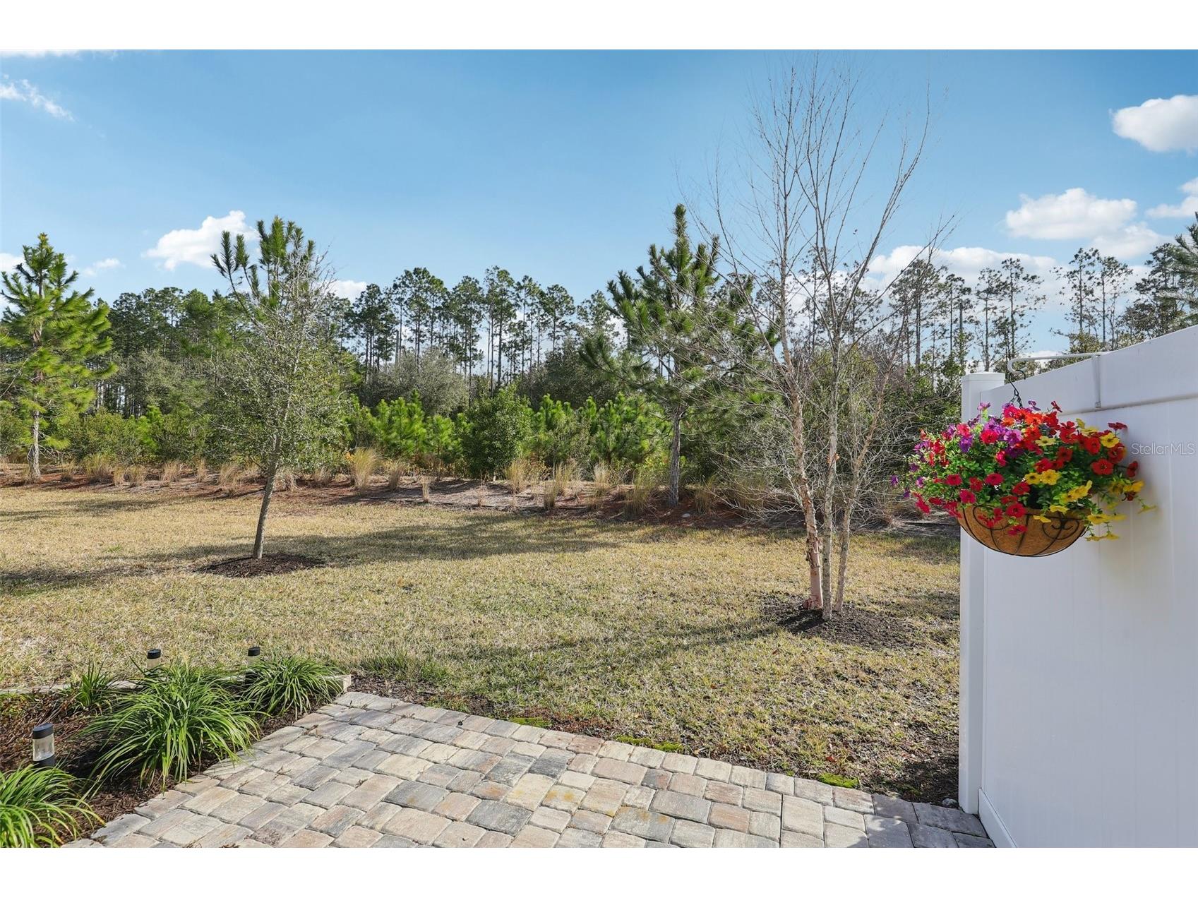 322 Pine Bluff Drive Saint Augustine FL 32092 FC317013 image36