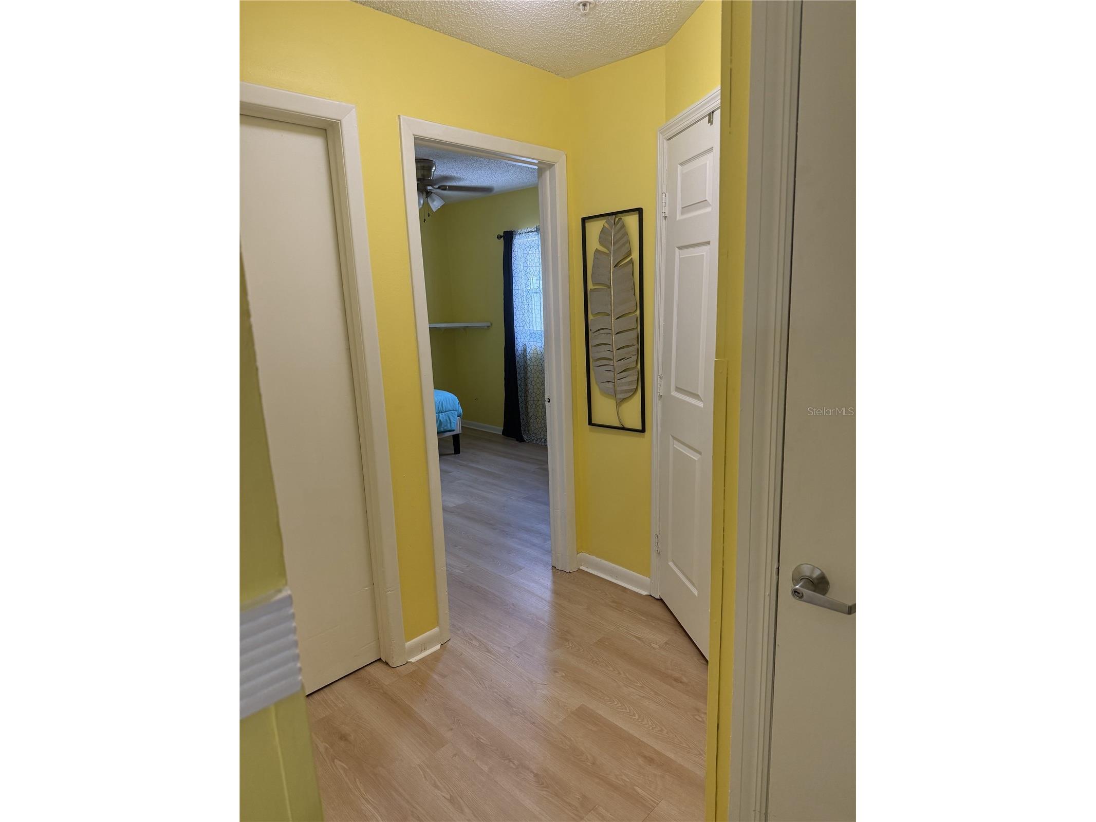 322 Regal Park Drive Valrico FL 33594 TB8473860 image11