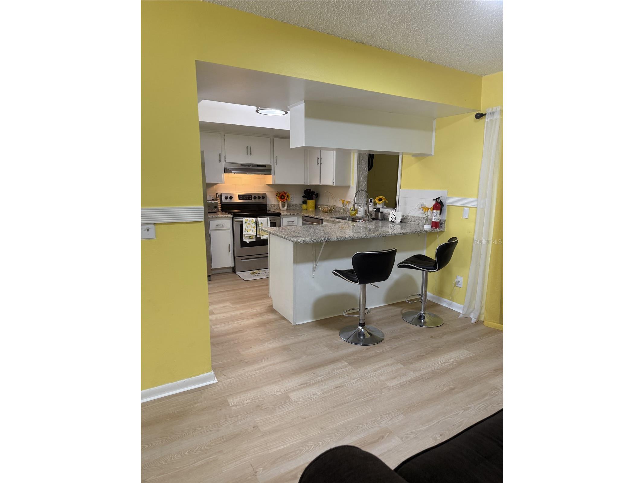322 Regal Park Drive Valrico FL 33594 TB8473860 image5