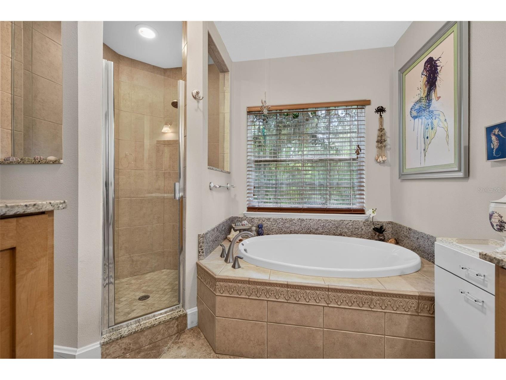 322 Roebling Road S Belleair FL 33756 TB8517701 image29