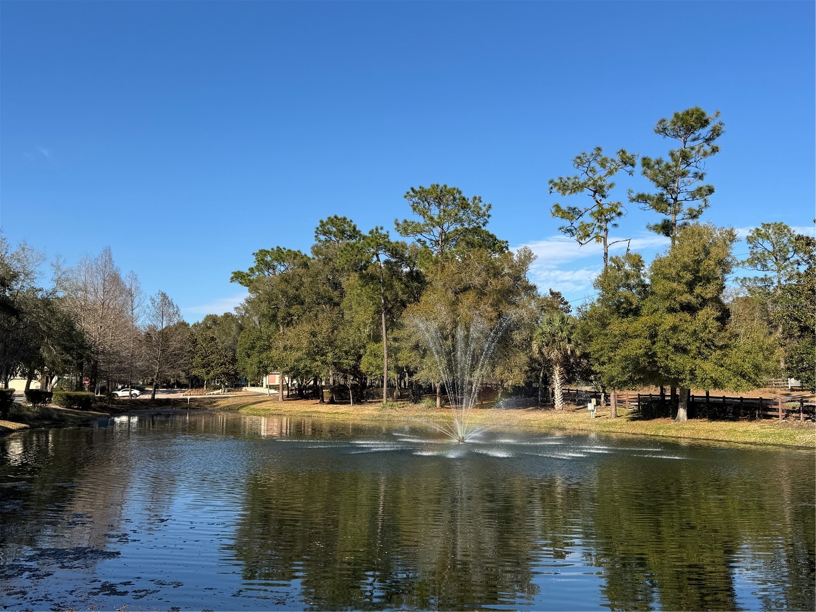 322 Secretariat Court Deland FL 32724 V4947261 image33