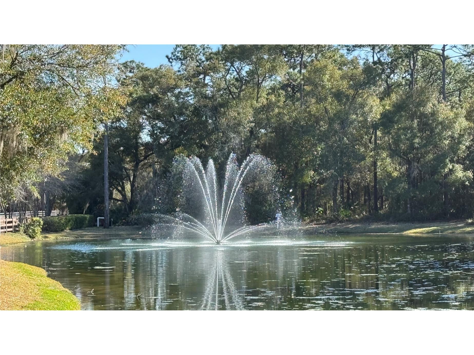 322 Secretariat Court Deland FL 32724 V4947261 image39