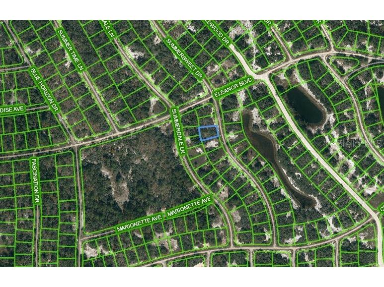 322 Summersweet Drive Lake Placid FL 33852 OM621722 image1