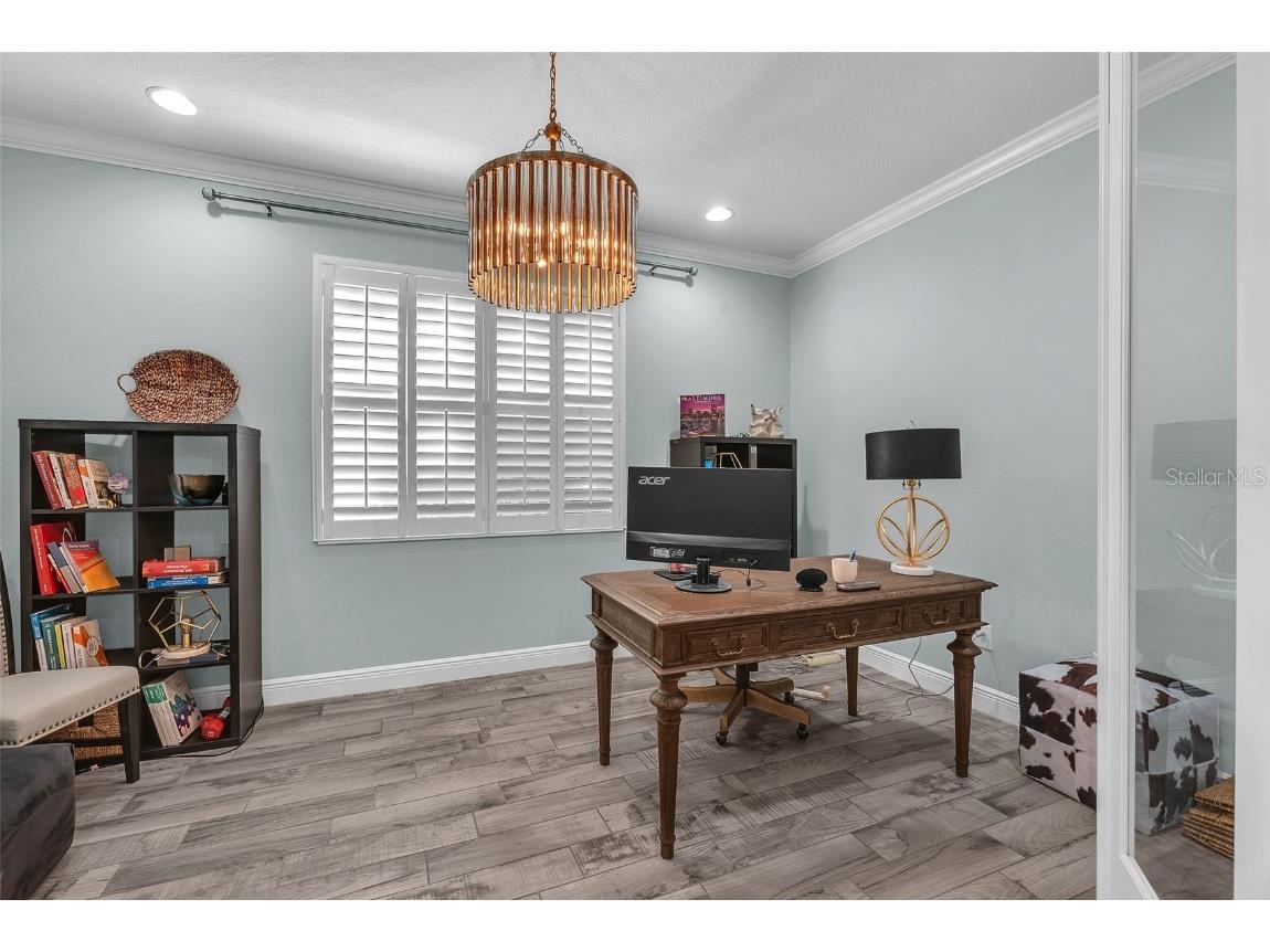 322 Winterside Drive Apollo Beach FL 33572 TB8434997 image21