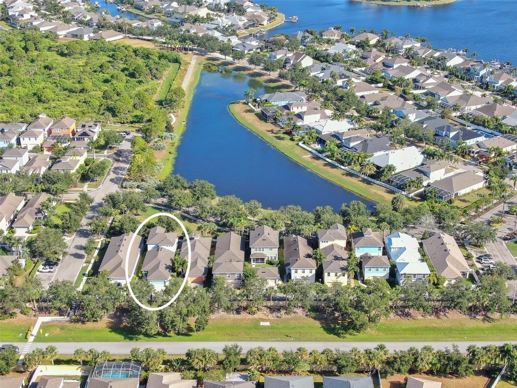 322 Winterside Drive Apollo Beach FL 33572 TB8434997 image34